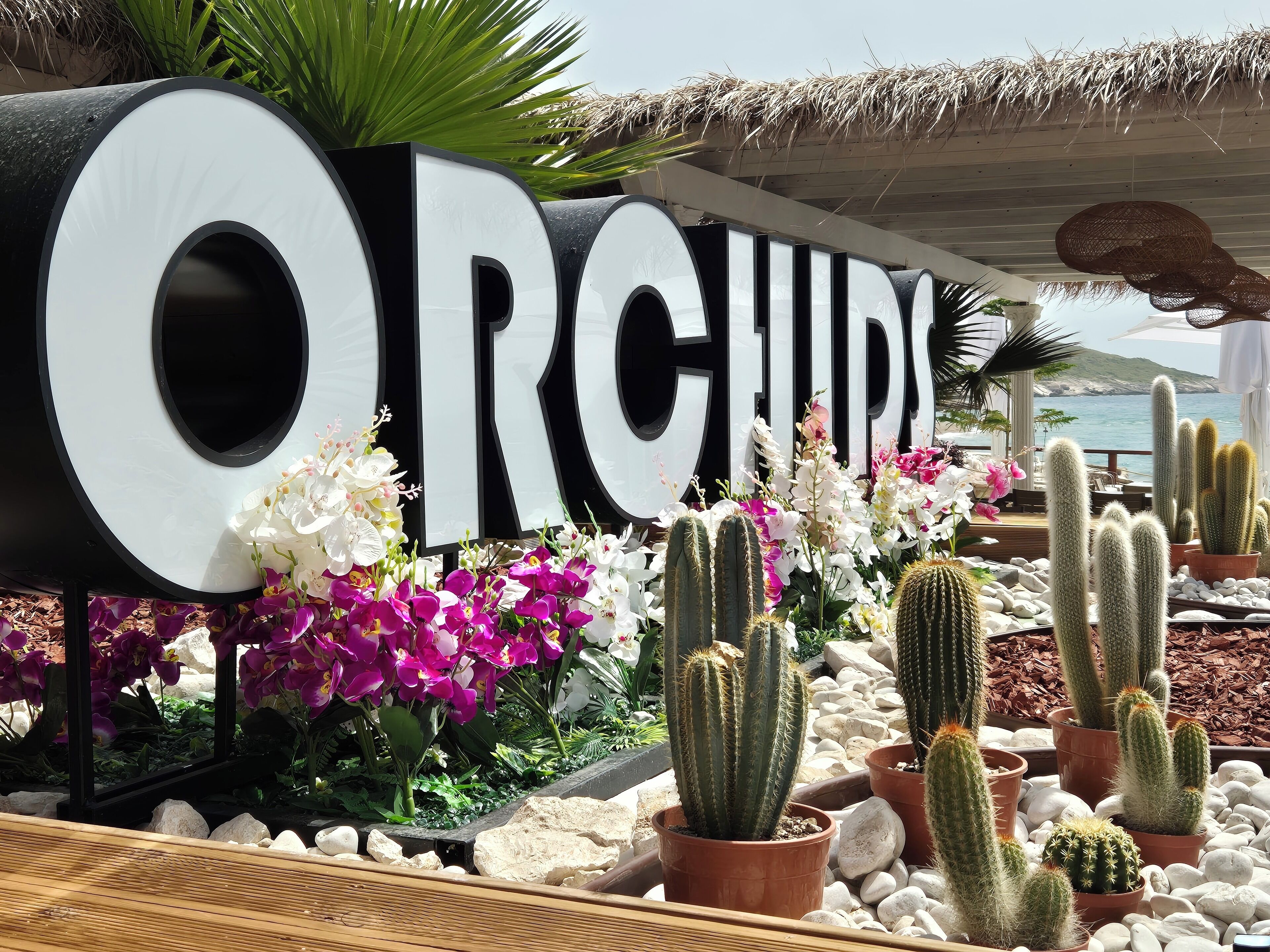 Photo - ORCHIDS Hotel