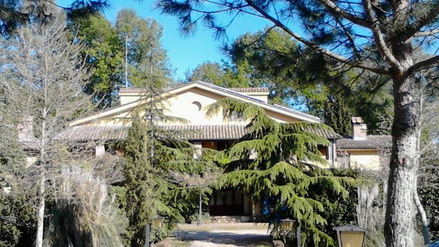 Una casa de estilo arquitectónico tradicional, un camino de entrada y árboles circundantes.