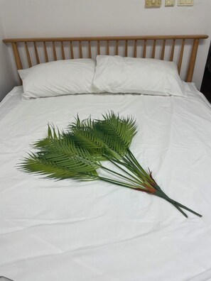 1 chambre, Wi-Fi