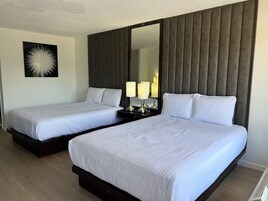 Deluxe Double Room | Free WiFi