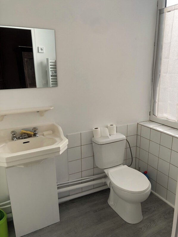 A bathroom with a white sink, toilet, and mirror.