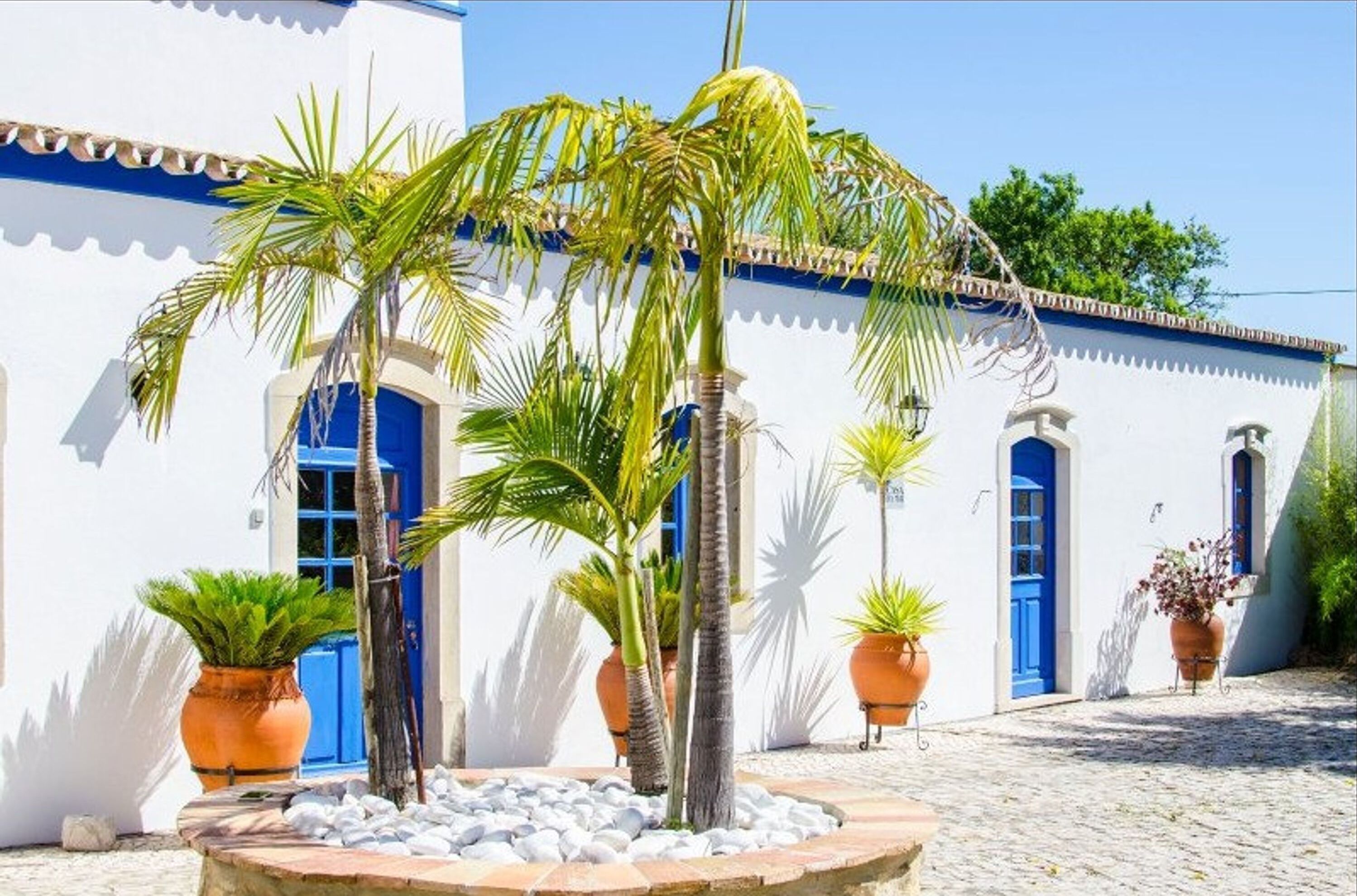 Nhà, hút thuốc | 6 phòng ngủ 