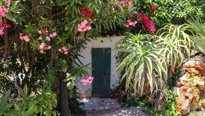 A garden pathway leading to a door, surrounded by various plants and flowers.