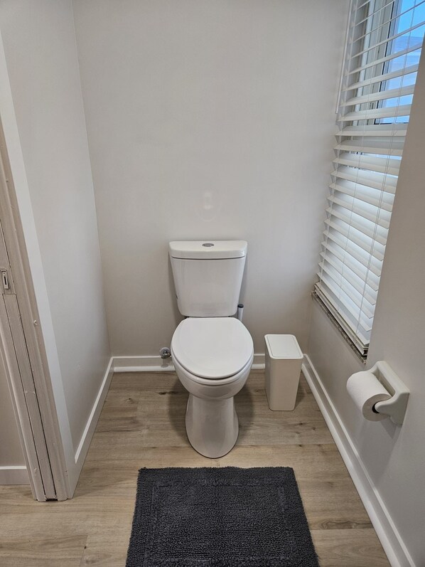 A small, clean bathroom with a white toilet, a small trash bin, and a dark rug on the floor.
