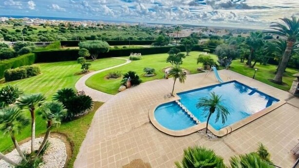 A landscaped pool area with a curved pool, palm trees, and a view of a cityscape.
