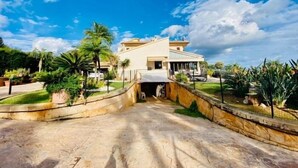 A modern house with a paved entrance, surrounded by lush greenery and palm trees.