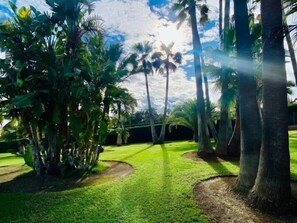 Property grounds - Villas2meet Na Penyal 7 (.Son servera)
