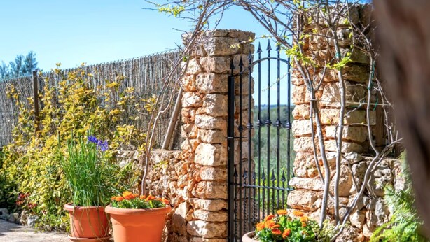 Un muro de piedra con una reja de metal, plantas en macetas con flores y una valla de madera al fondo.