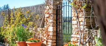 Villas2meet Son rapinya Porto Cristo