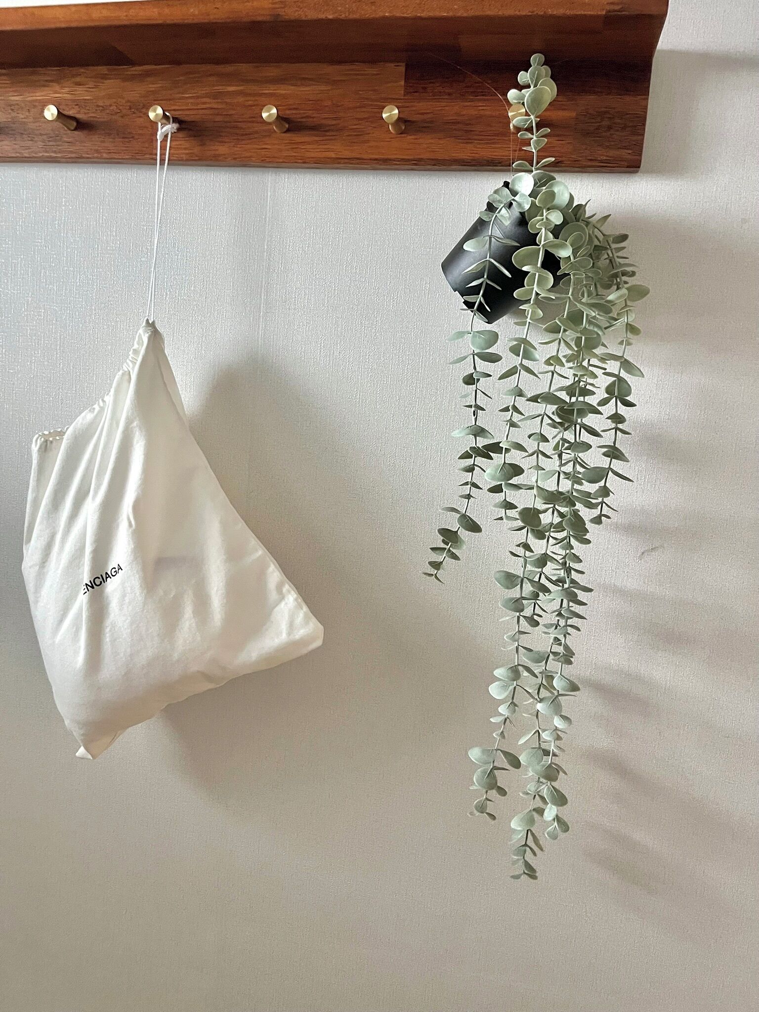 Un sac blanc est accroché à un panneau perforé en bois, et une plante suspendue se trouve à côté.
