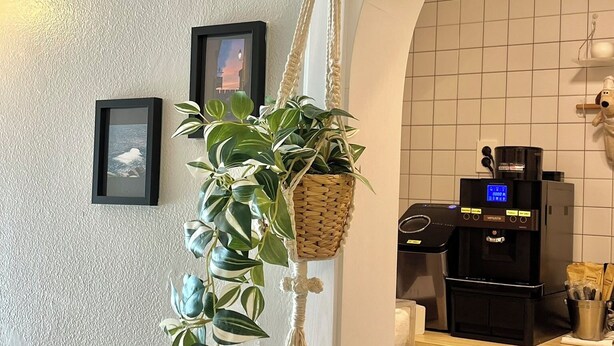 A kitchen area with a coffee machine, a microwave, and a hanging plant. - GreeneStay (Seoul)