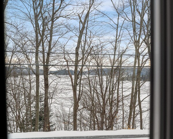 Vista a través de una ventana con árboles desnudos y un paisaje cubierto de nieve.