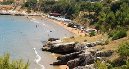 Three-room apartment with veranda on the 1st floor - Bay of Braico