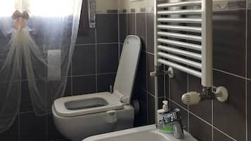 Hair dryer, towels, soap, toilet paper