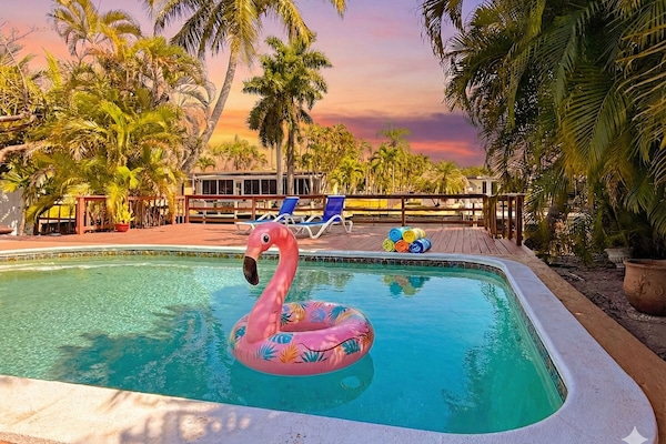 Dive into fun at this tropical pool featuring floats, palm trees & sunset views.