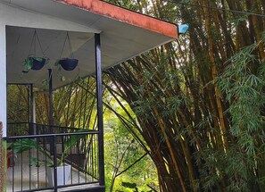 Property grounds - Comfy Tropical Hideaway - Fully Kitchen (Quepos)