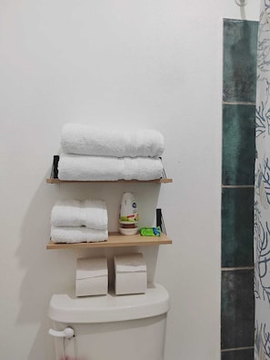 Shower, towels, soap, toilet paper