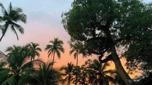 A beach scene with palm trees and a sunset. - Fully Equipped Kitchen Privacy & Pura Vida (Quepos)