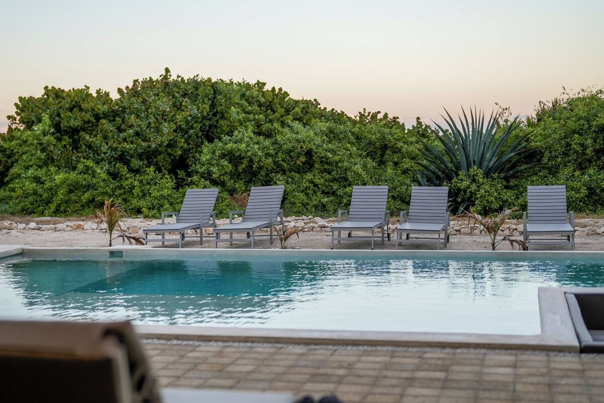 A poolside area with lounge chairs and a large tree in the background.