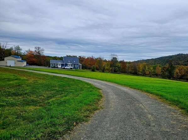 Property grounds - NEW charming 2-bedroom house in Pleasant Mount (Pleasant Mount)