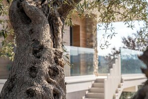 Details aan de buitenkant