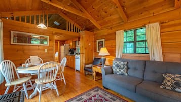 Smart TV, chimenea y libros