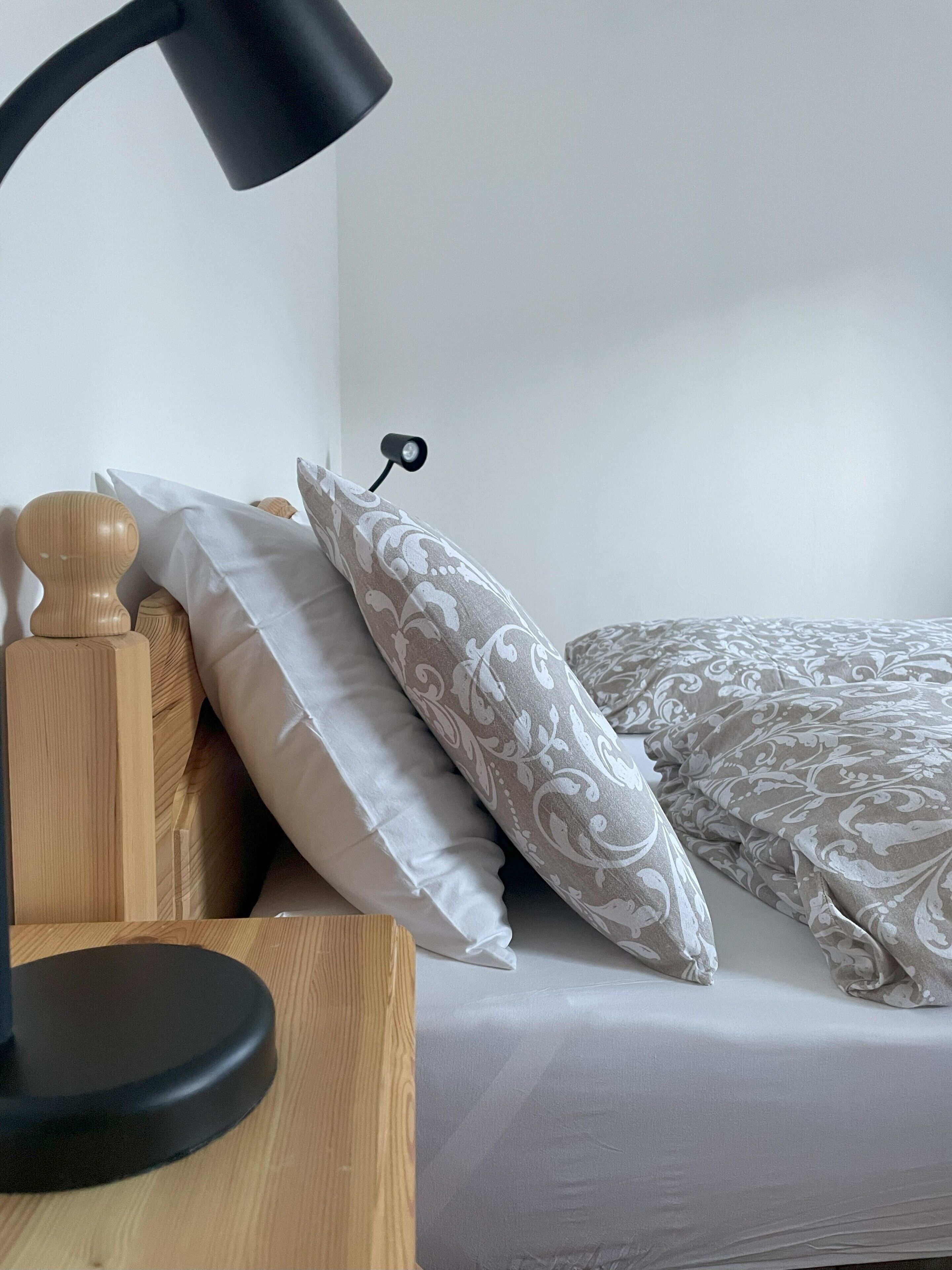 Classic Apartment, Non Smoking, Mountain View | 1 bedroom, blackout curtains, free WiFi