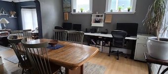 Spacious 4-bedroom Historic house with WiFi in heart of Detroit/Free Parking!