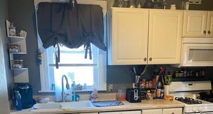 Spacious 4-bedroom Historic house with WiFi in heart of Detroit/Free Parking!