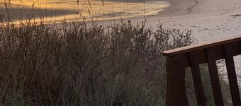 House Captain Christiansen 55