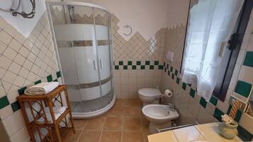 Shower, hair dryer, bidet, towels