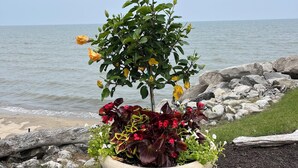 Una jardinera grande con diversas plantas y flores junto a una costa rocosa.