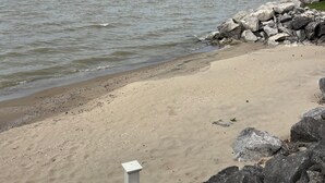Una playa arenosa con costa rocosa y una barandilla blanca.