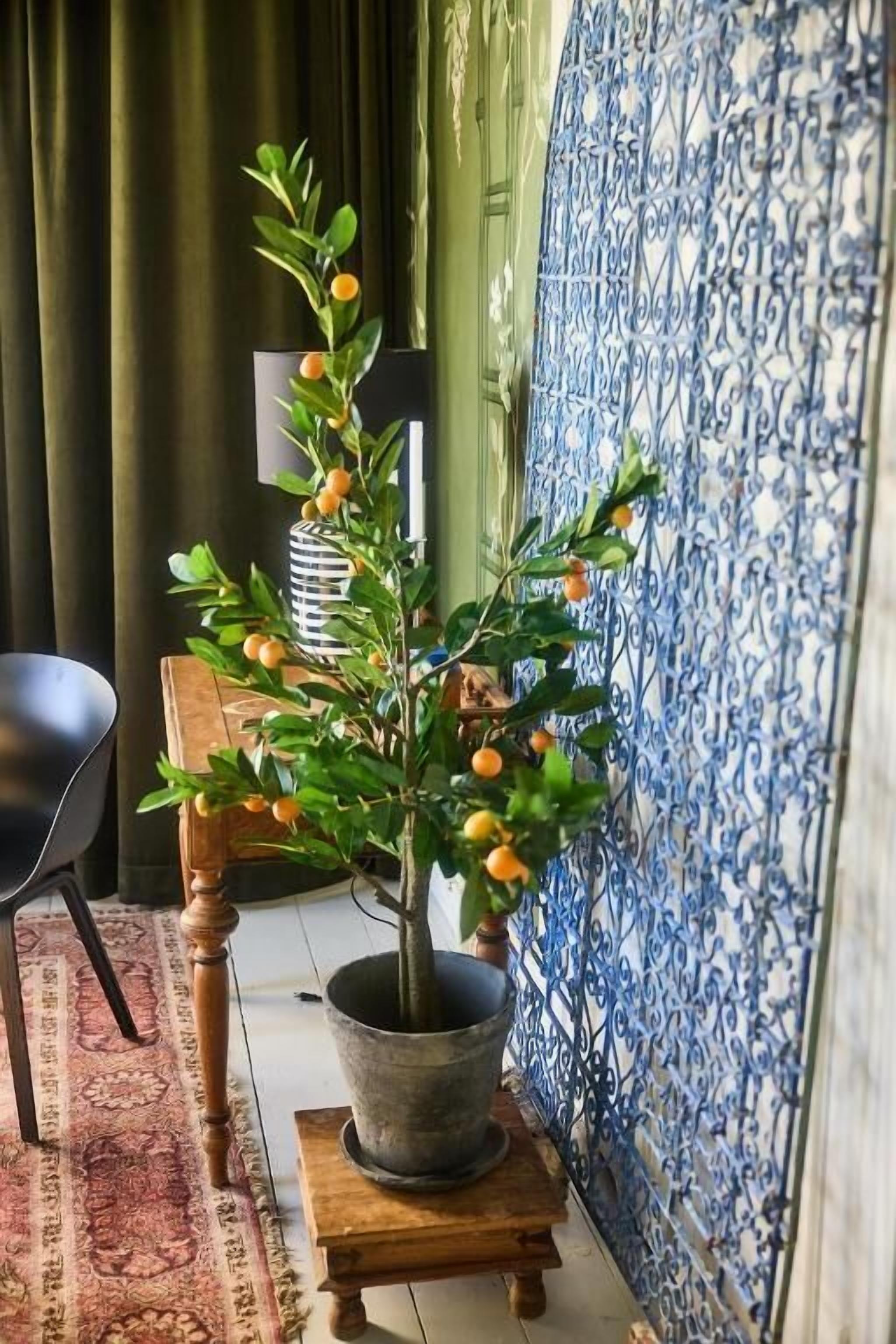 Familien-Suite, Balkon, Gartenblick | Innenbereich