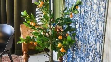 Familien-Suite, Balkon, Gartenblick | Innenbereich