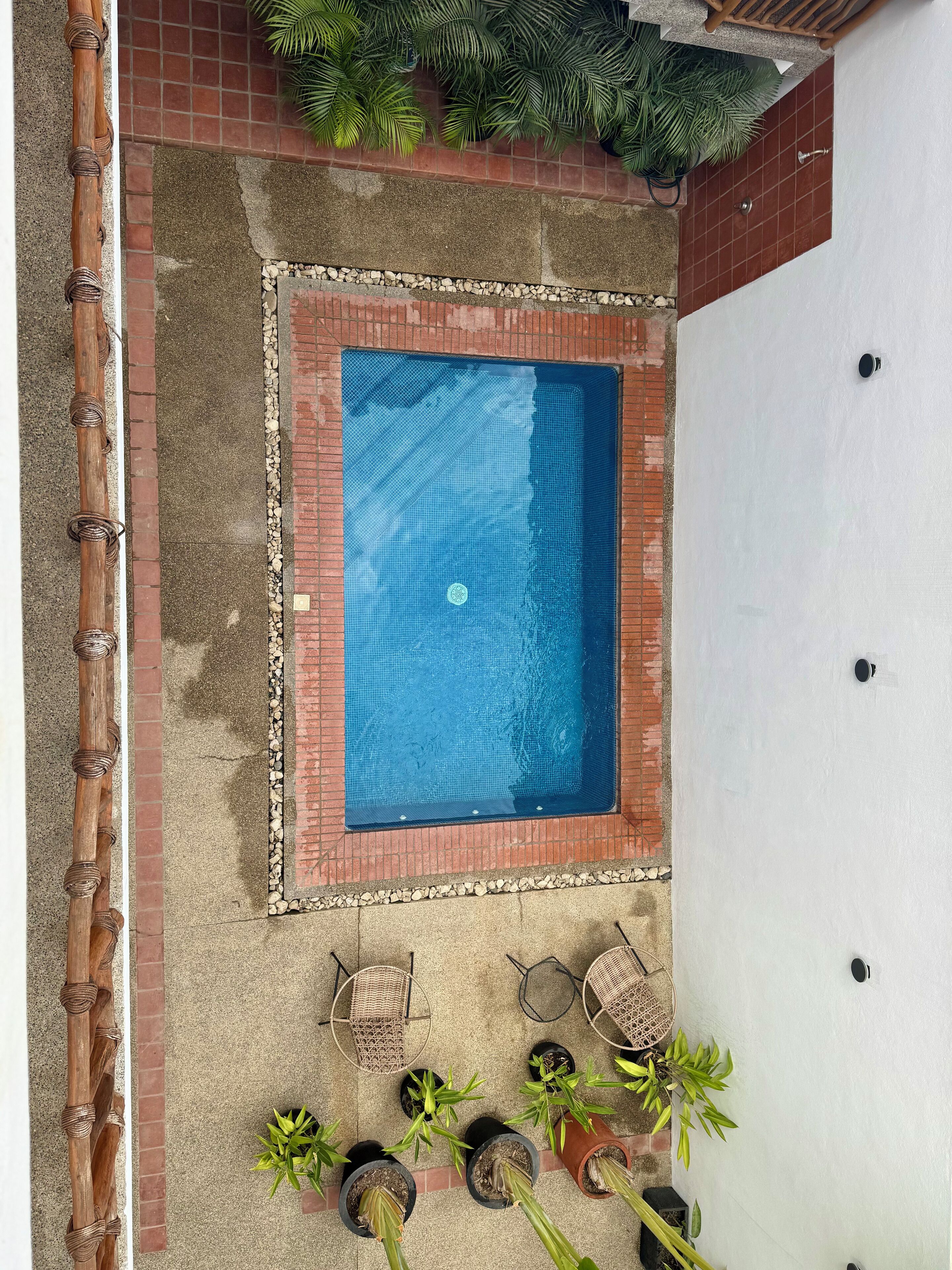 A rectangular pool with a tiled edge, surrounded by a brick border and potted plants.