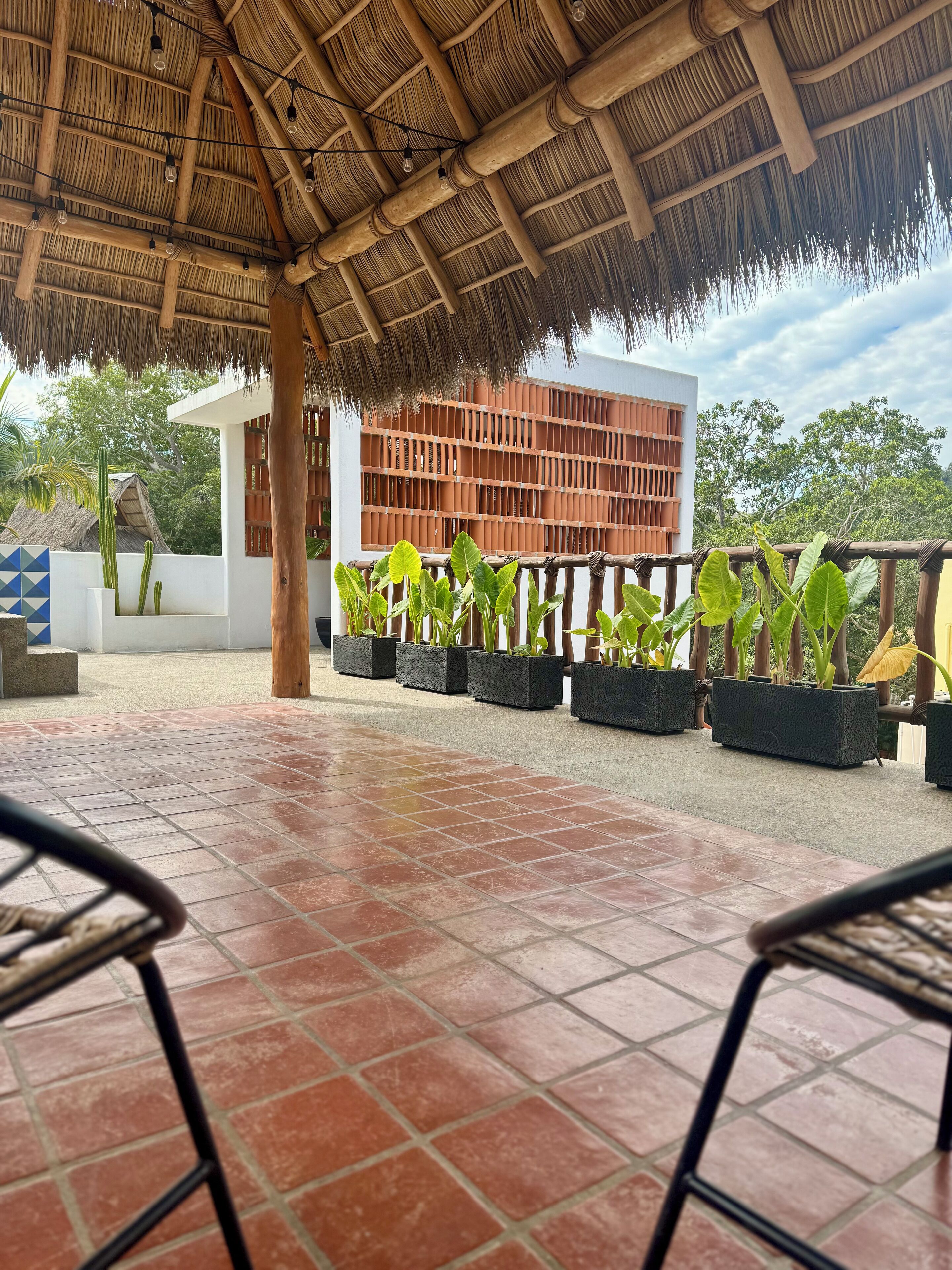 An outdoor patio area with a thatched roof, potted plants, and a modern building in the background.