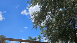 A covered outdoor area with a concrete path, surrounded by lush greenery and trees. - Enjoy Pool, Billiards, Sauna, Access to the Lake (Lake Placid)