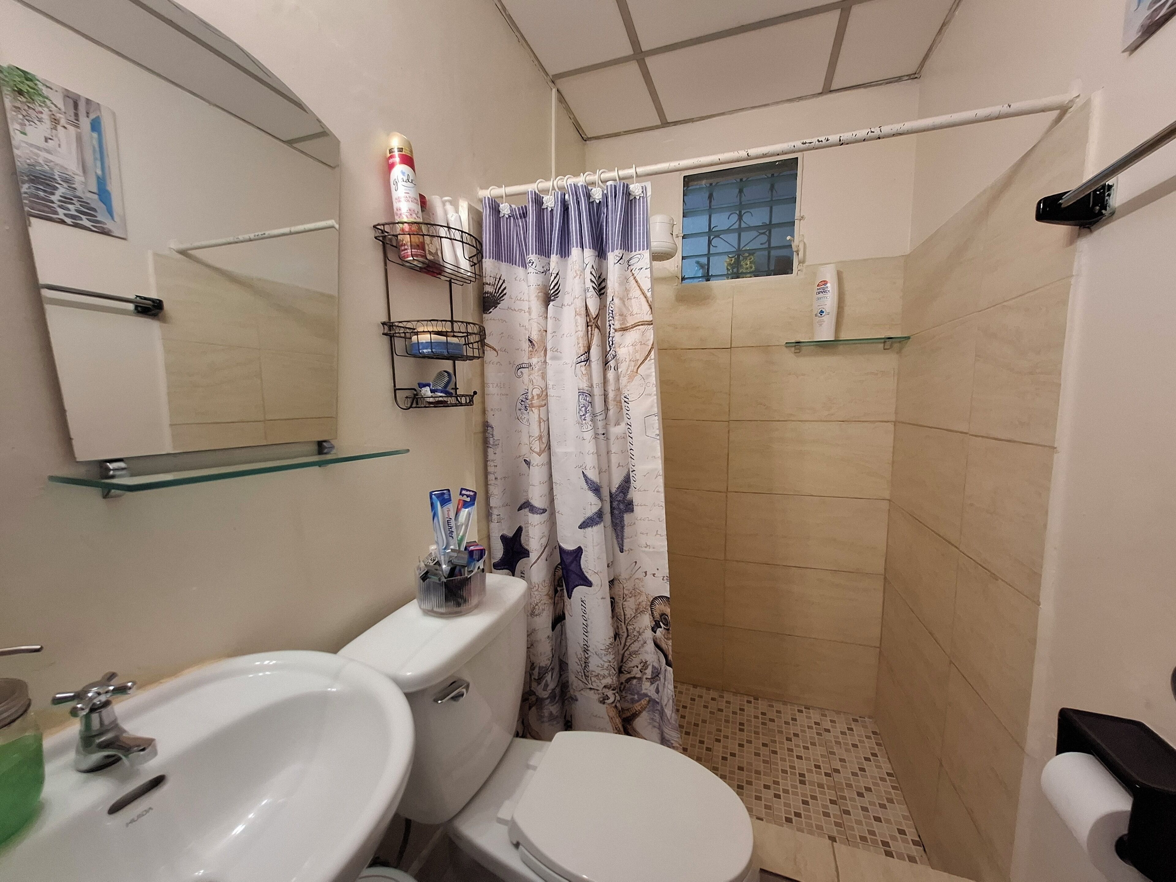 Shower, hair dryer, bidet, towels