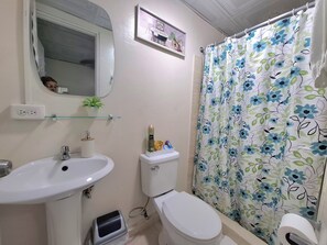 Shower, hair dryer, bidet, towels