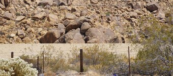 Charming 2-bedroom house, prime location in Joshua Tree