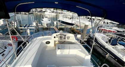 A unique experience on a boat