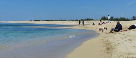Strand