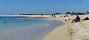 Beach - The abode of EliDà (San Pietro In Bevagna)