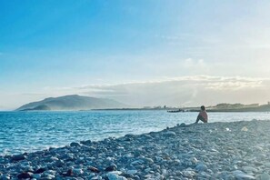 Beach - Paw-some Hostel (Hualien)