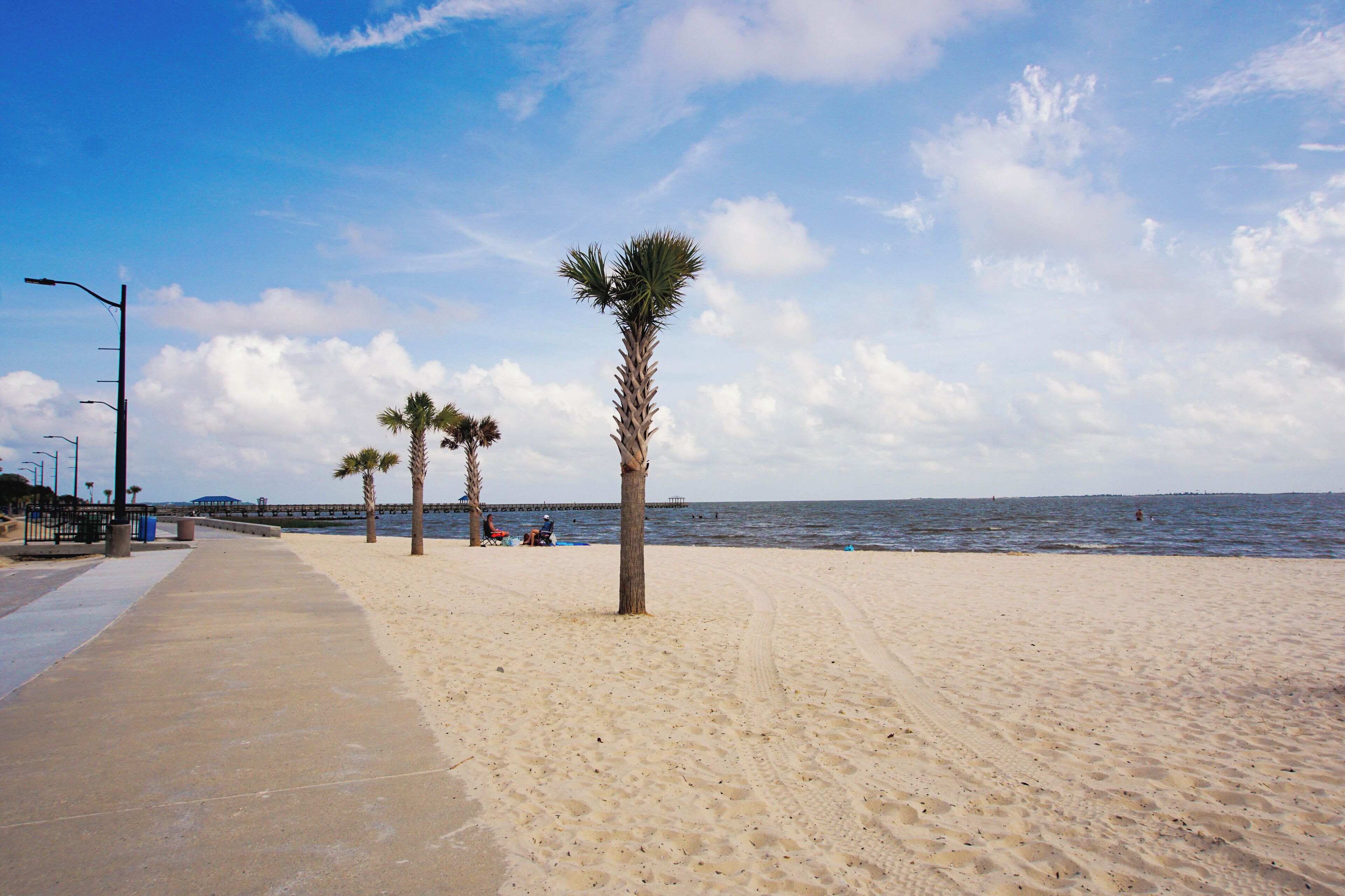 Camastros y toallas de playa 