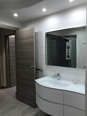 Shower, hair dryer, bidet, towels