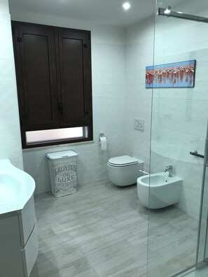 Shower, hair dryer, bidet, towels