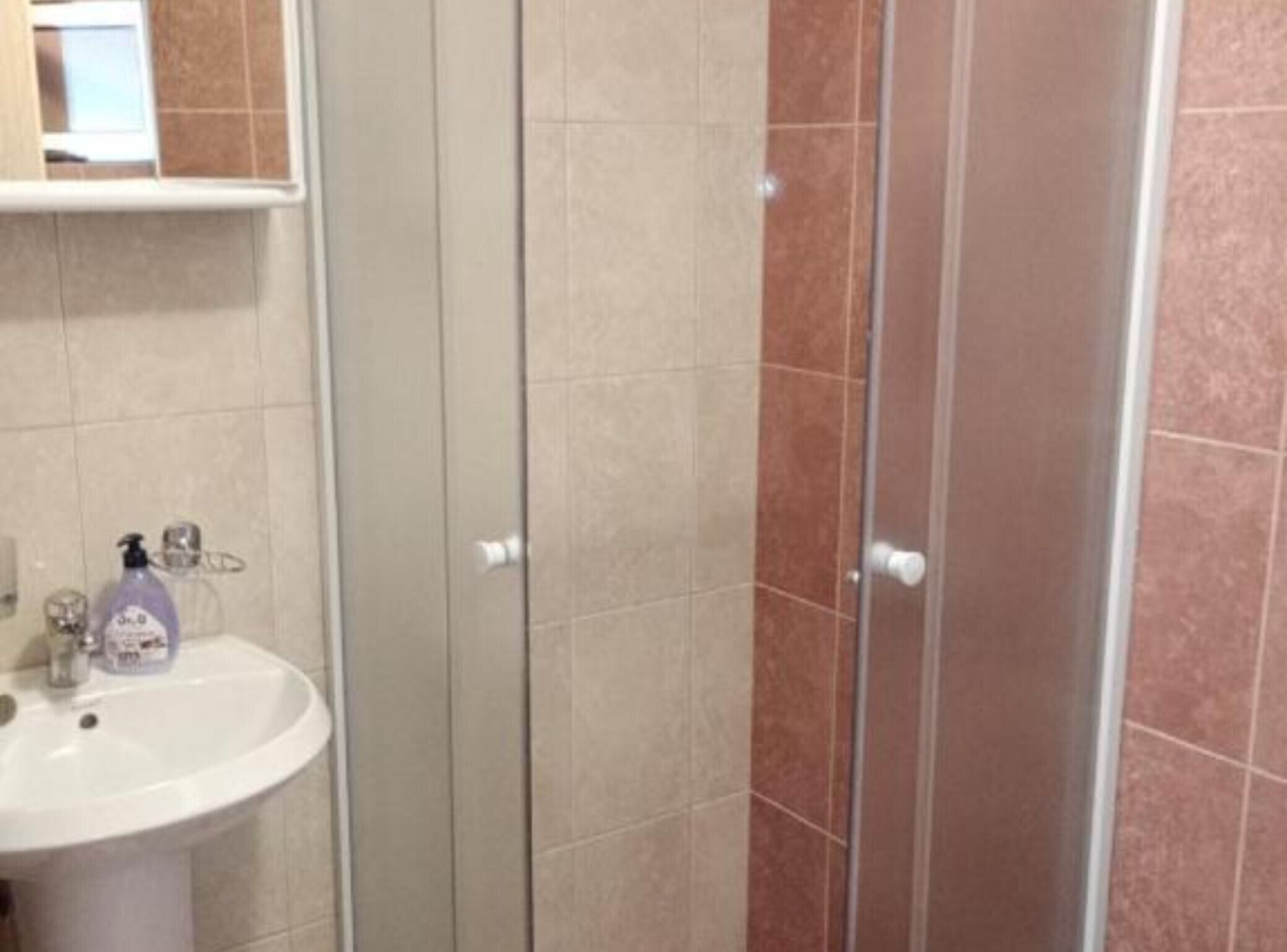 Une salle de bain équipée d’un lavabo, d’un miroir et d’un espace douche dont les murs sont recouverts de carreaux.