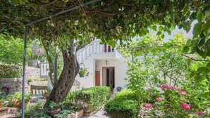 Un sendero en un jardín que lleva a un edificio blanco con puerta de madera, rodeado de abundante vegetación y plantas en flor.